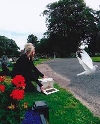 Doves